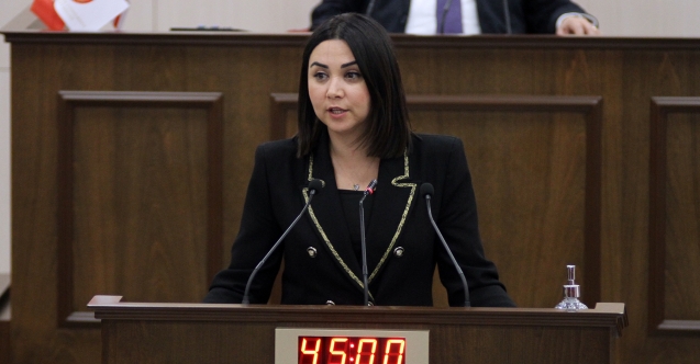 “28 sayfalık hükümet programında hiçbir vizyon yok”