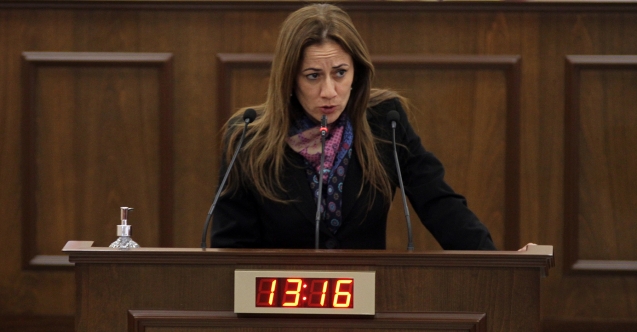 Doğuş Derya'dan sert tepki: "Yüce meclis değil cüce meclis"