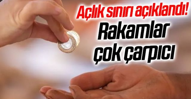 Açlık sınırı asgari ücreti solladı!