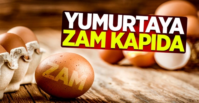 Yumurtaya bir zam daha