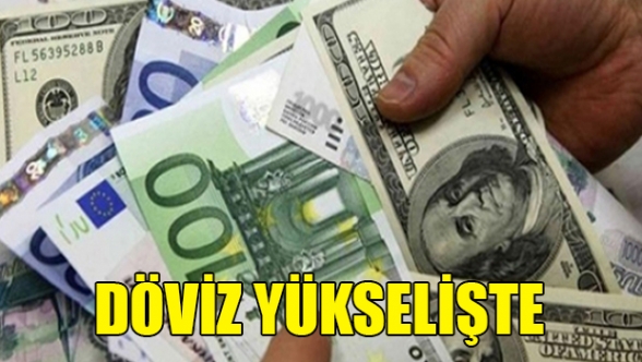 Faiz düştü, döviz uçtu