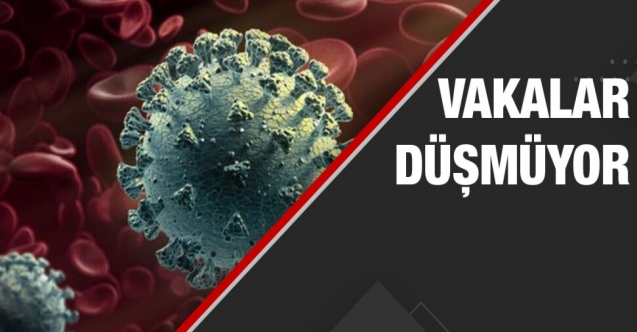 Güney’de bir haftada 3 bin 611 vaka, 6 ölüm