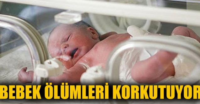 Bebek ölümlerinde ciddi artış