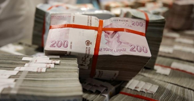Aslan payı Maliye’nin! Hangi kuruma ne verilecek?