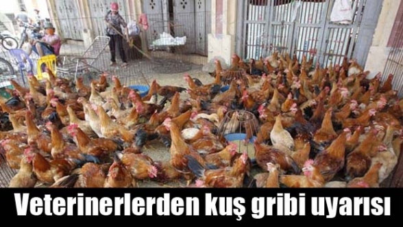  Veteriner Dairesi'nden kuş gribi uyarısı: "Ülke risk altında"