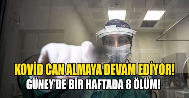 Güney'de 8 ölüm daha