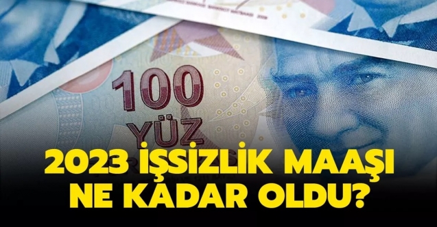 İşsizlik maaşı belli oldu