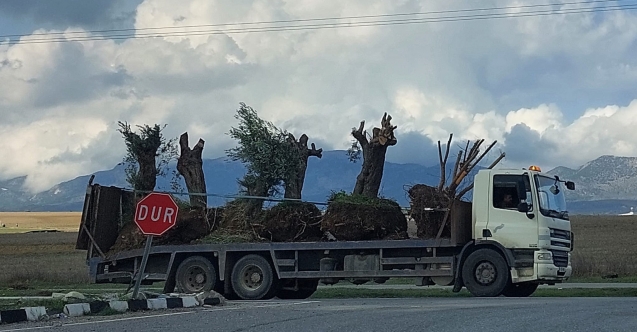Ölümü gösterip sıtmaya razı etmek dedikleri bu olsa gerek!
