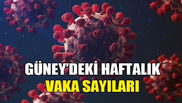 Güney’de bir haftada 10 ölüm, 2 bin 667 yeni vaka