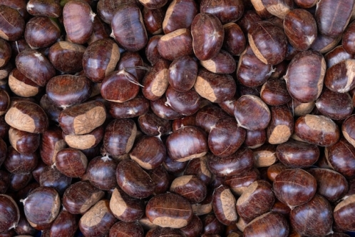 Kestane çıktı, fiyatı dudak uçuklattı