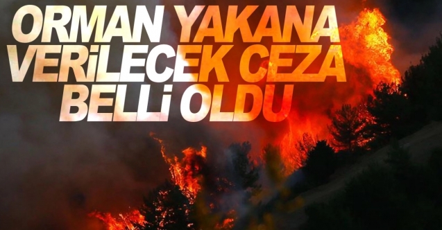 Yangına neden olanlar yanacak! 100 asgari ücret ceza, 15 yıla kadar hapis!