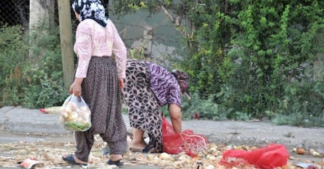 Vatandaş pazardan çürük soğan topluyor