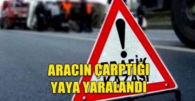 15 yaşındaki yaya yaralandı