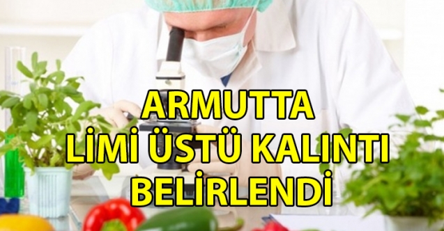 Armutta limit üstü kalıntı