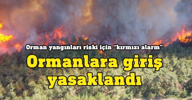 Orman Dairesi'nden kırmızı alarm