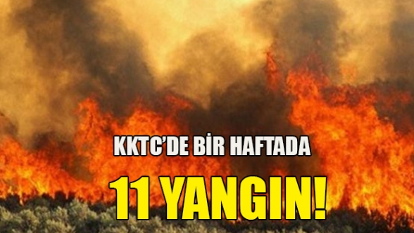 11 yangında 636 bin TL zarar