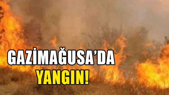 Otları temizlerken yangına neden oldu