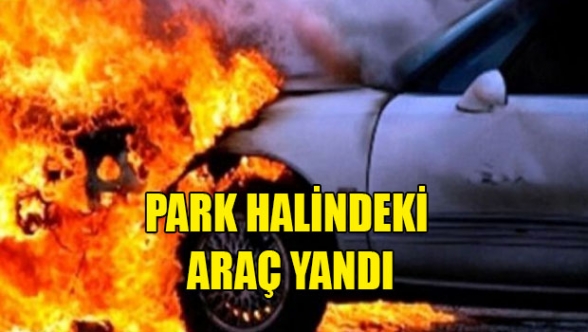 Park halindeki araç yandı