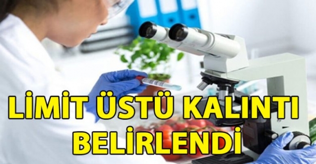 3 üründe limit üstü kalıntı