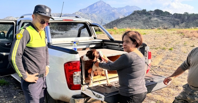 12 köpeğin sahiplerine ceza
