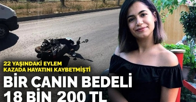 Bir canın bedeli 33 bin 400 TL!