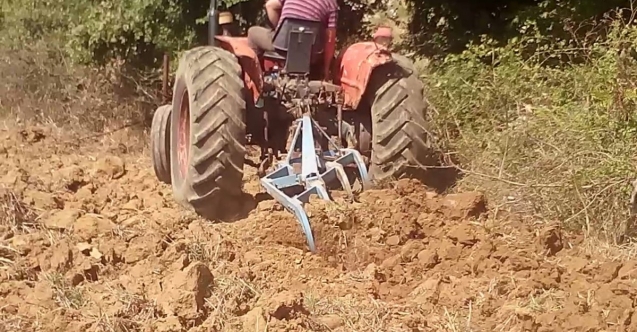 Traktörüyle tarlaya girip hortumları ezdi