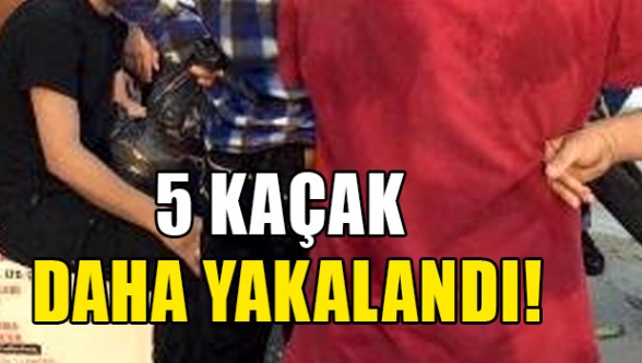 5 kaçak daha yakalandı