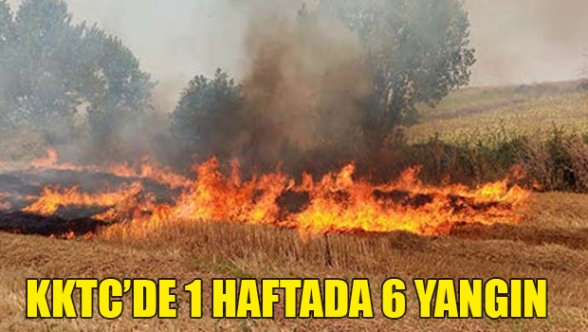 6 yangında 743 bin TL'lik zarar