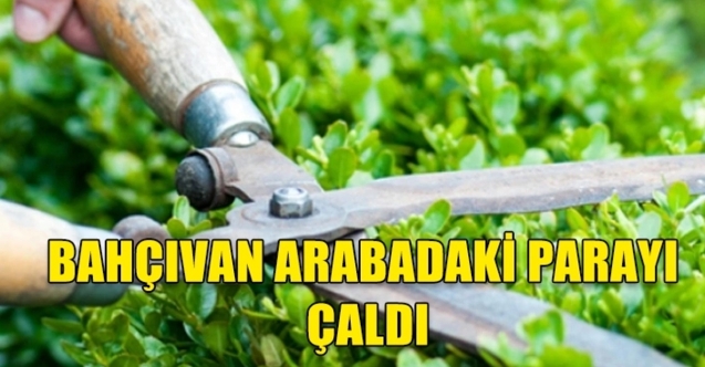 Bahçıvan, hırsızlıktan tutuklandı