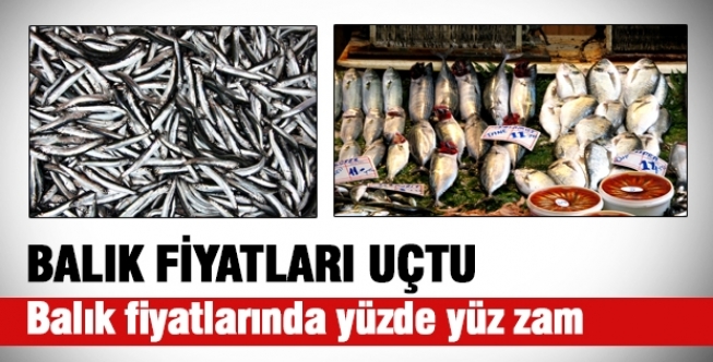 Balık fiyatlarına bir yılda yüzde 100 zam