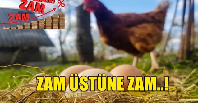 Tavuk ve yumurtaya da zam