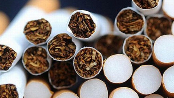 28 karton gümrüksüz sigara için 1755 Euro ceza