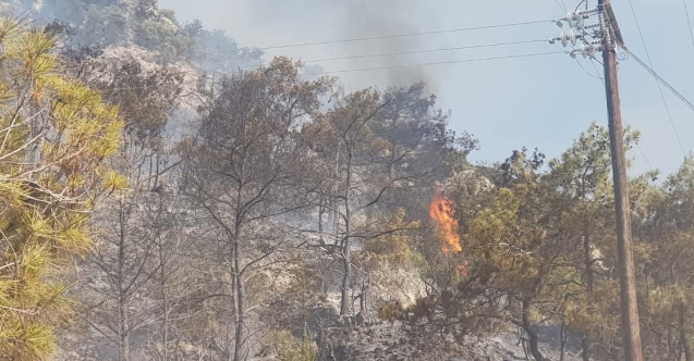 Mersinlik'teki yangın için yardım çağrısı