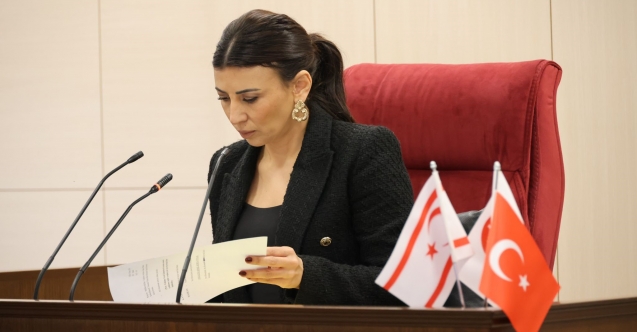 Özdenefe yeniden Meclis Başkan Yardımcısı