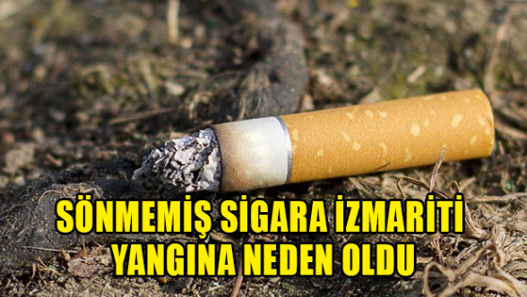 Sigara izmariti yangına neden oldu