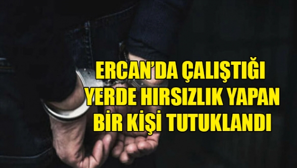 Çalıştığı şirketten 21 klima çaldı