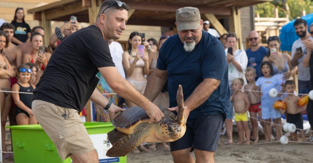 Meritta ile 170 deniz kaplumbağası mavi sulara uğurlandı