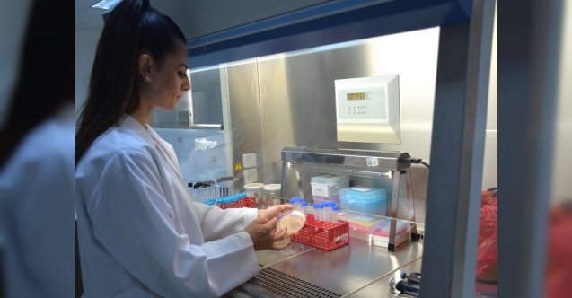 YDÜ'den tarihi keşif: Alasiavirus!