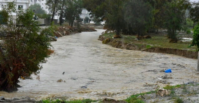 Sel baskınıyla hastalık riski arttı
