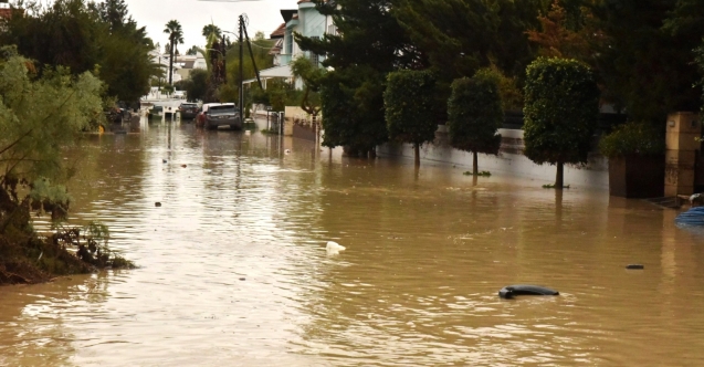 Selin ardından salgın hastalık uyarısı
