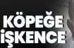 Köpeğine işkence etti