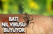 Güney'de Batı Nil virüsünden ilk ölüm