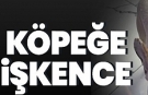 Köpeğine işkence etti