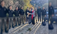 Dağda mahsur kalan köpek için seferber olundu