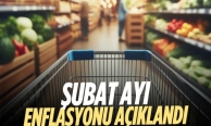 Şubat ayı enflasyonu yüzde 2.76 çıktı