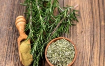 Kıbrıs biberiyesi, Karaciğer kanseri tedavisinde umut olabilir