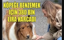 Köpek gibi görünmek için 380 bin lira harcadı