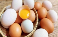 Hangi yumurta daha sağlıklı?
