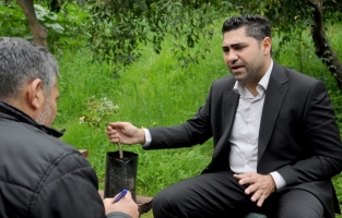 Kıbrıs iklimine uygun, bakım istemeyen ama kârlı bir ağaç... 'Sakız ağacı'