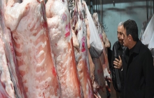 Mezbahalarda kesilen hayvanlar kategorisine göre mühürleniyor